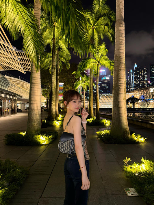 CD High version π― saddle bag