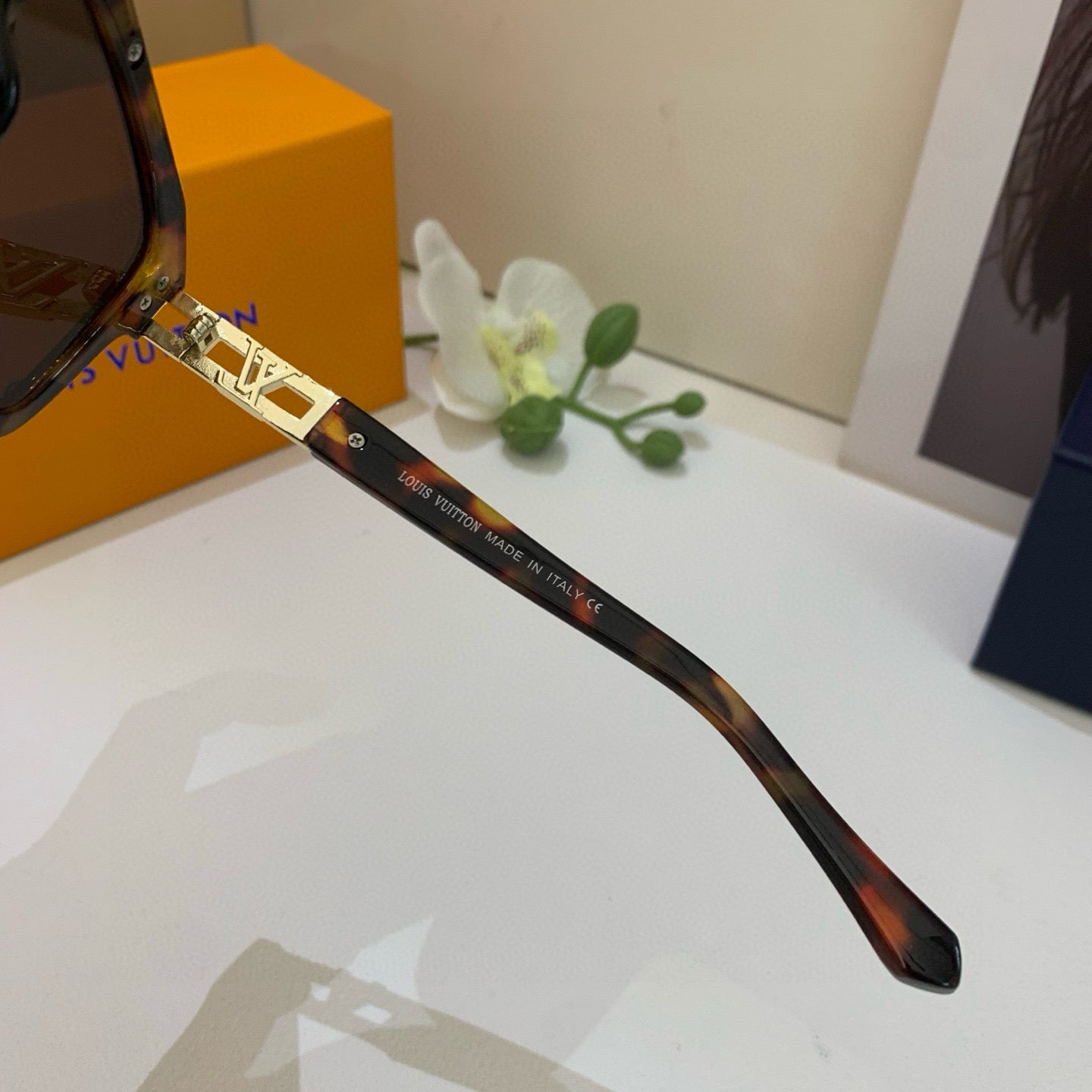 Louis New Sunglasses