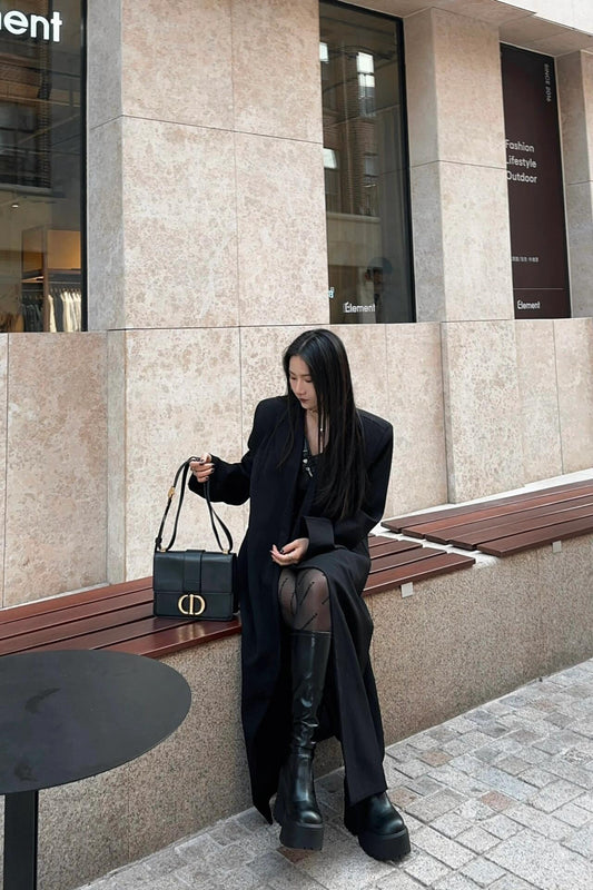 CD High version 💯Montaigne bag