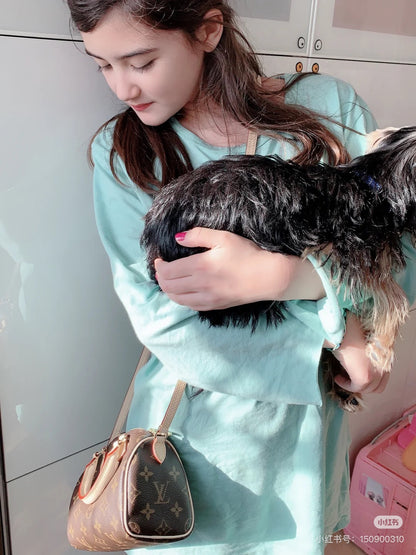 louis Nano Speedy Bag