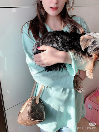 louis Nano Speedy Bag