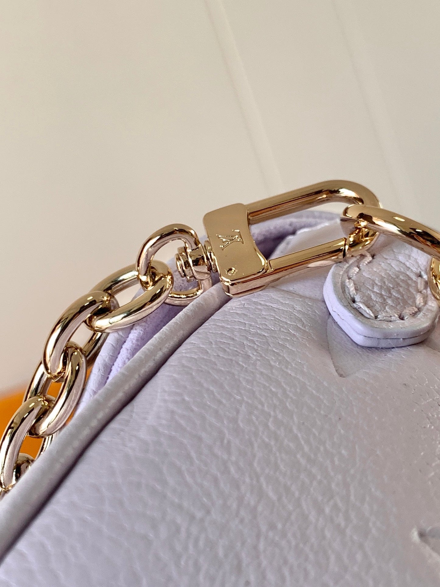 Louis* New wallet on chain bag