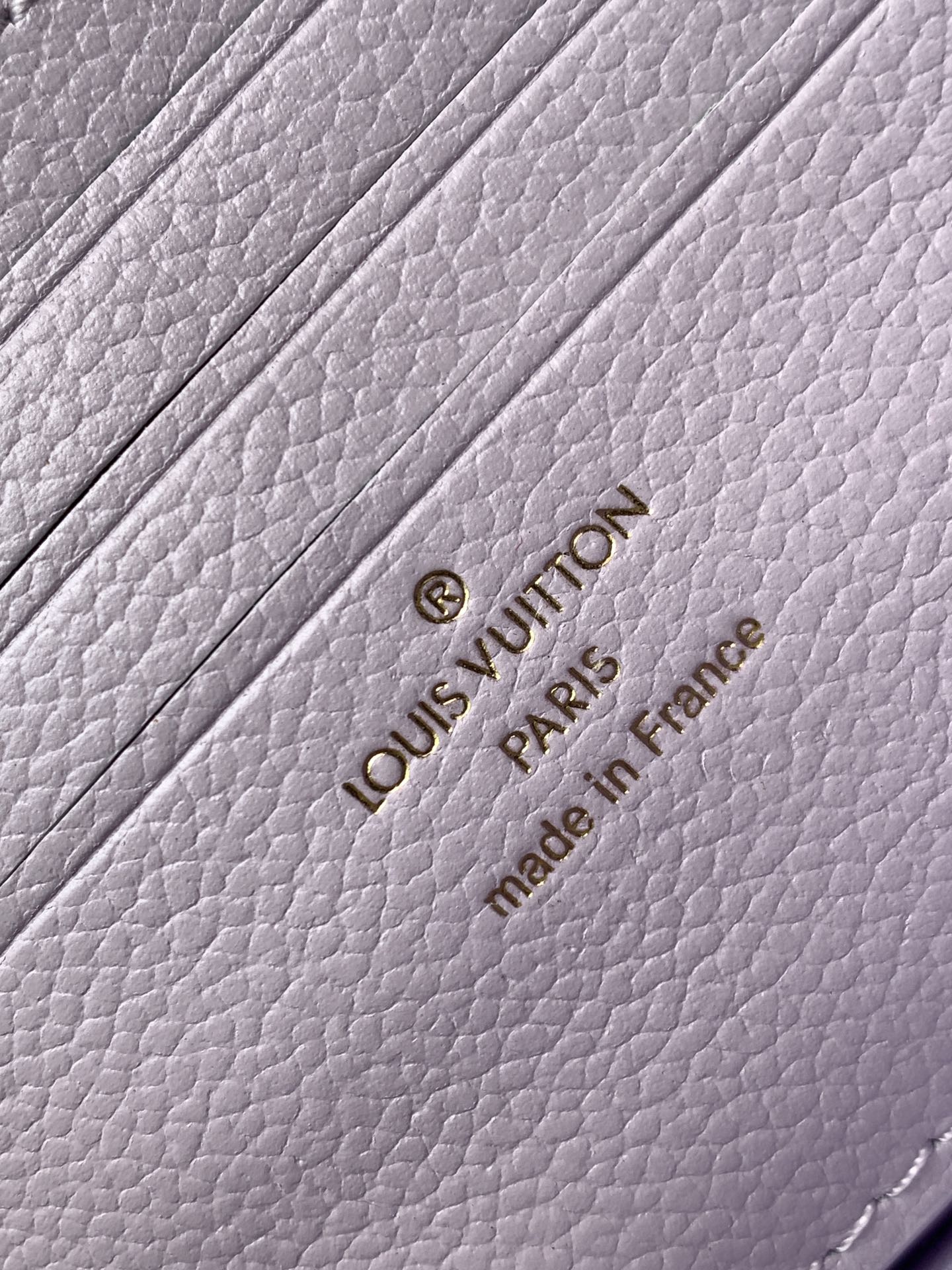 Louis* New wallet on chain bag