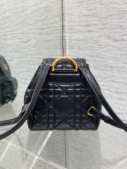 CD new product backpack