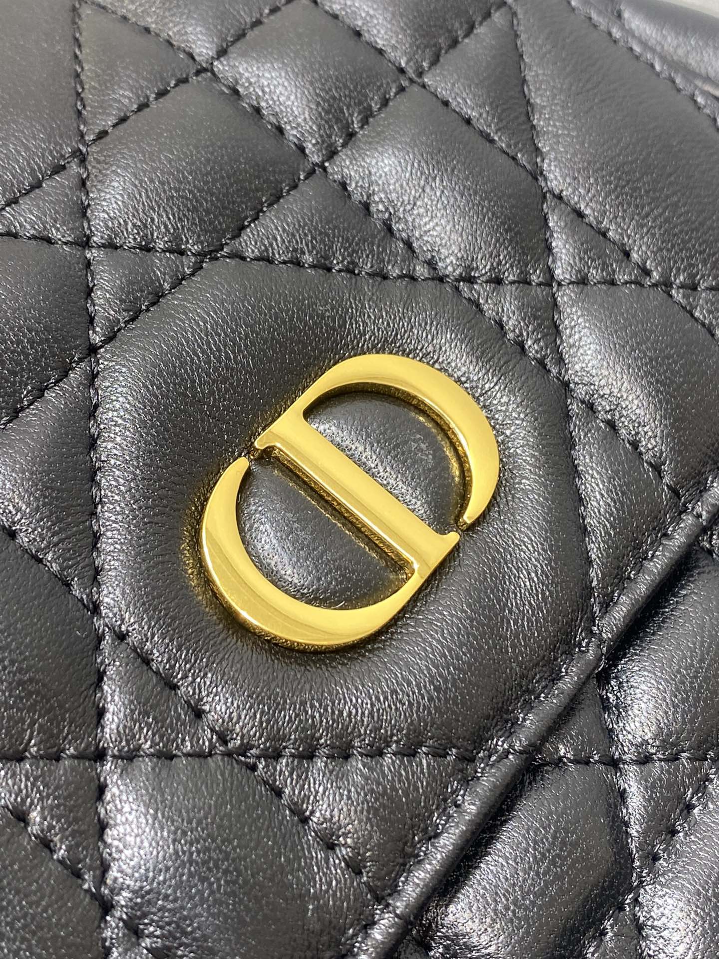 CD new product backpack