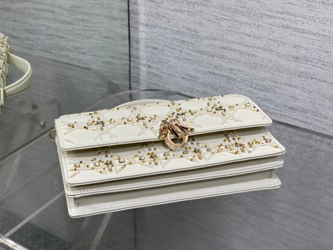 CD new product evening bag