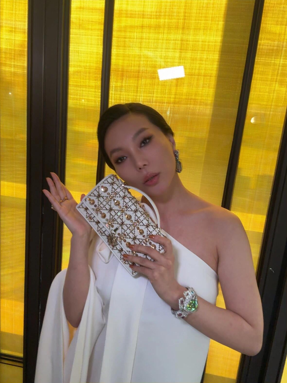 CD new product evening bag