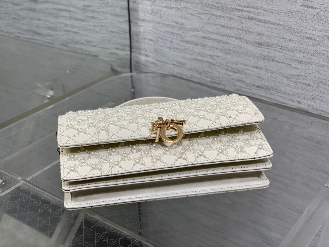 CD new product evening bag