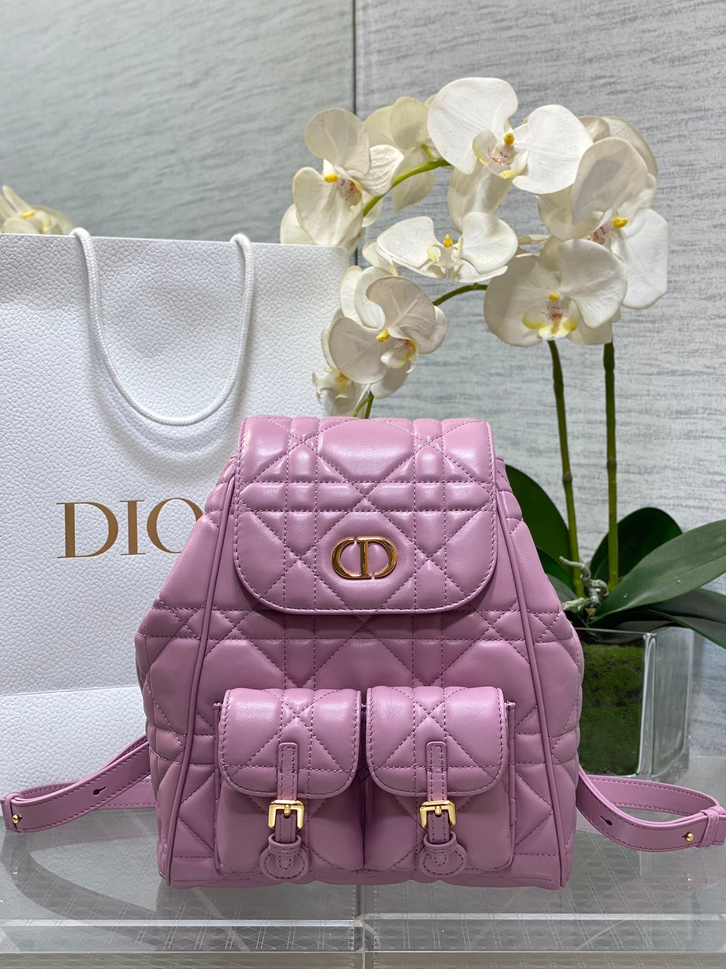 CD new product backpack