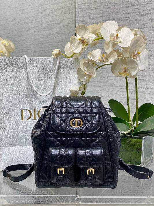 CD new product backpack