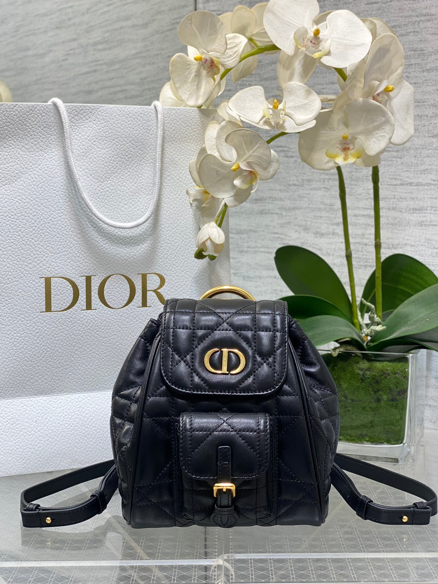 CD new product backpack