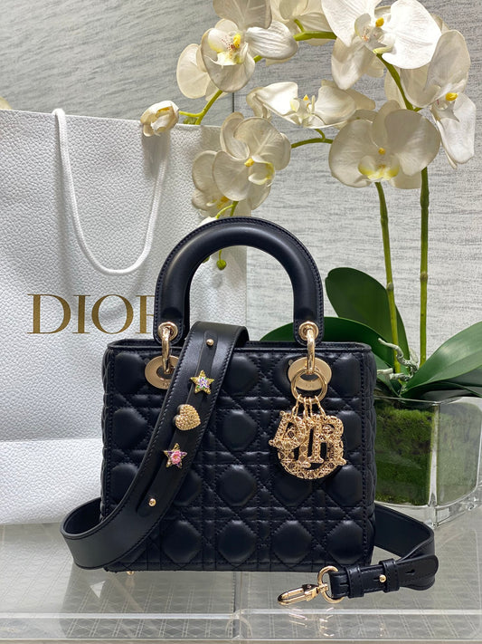 CD new product Daphne bag