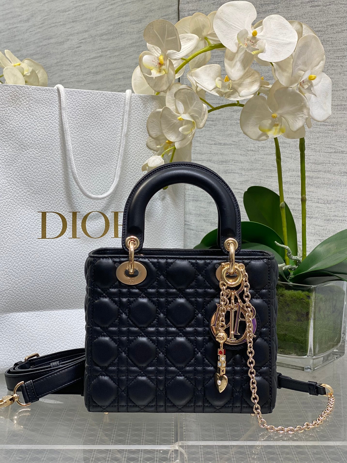 CD new product Daphne bag