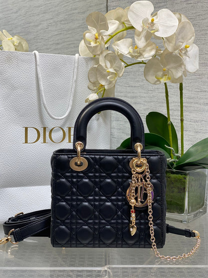 CD new product Daphne bag