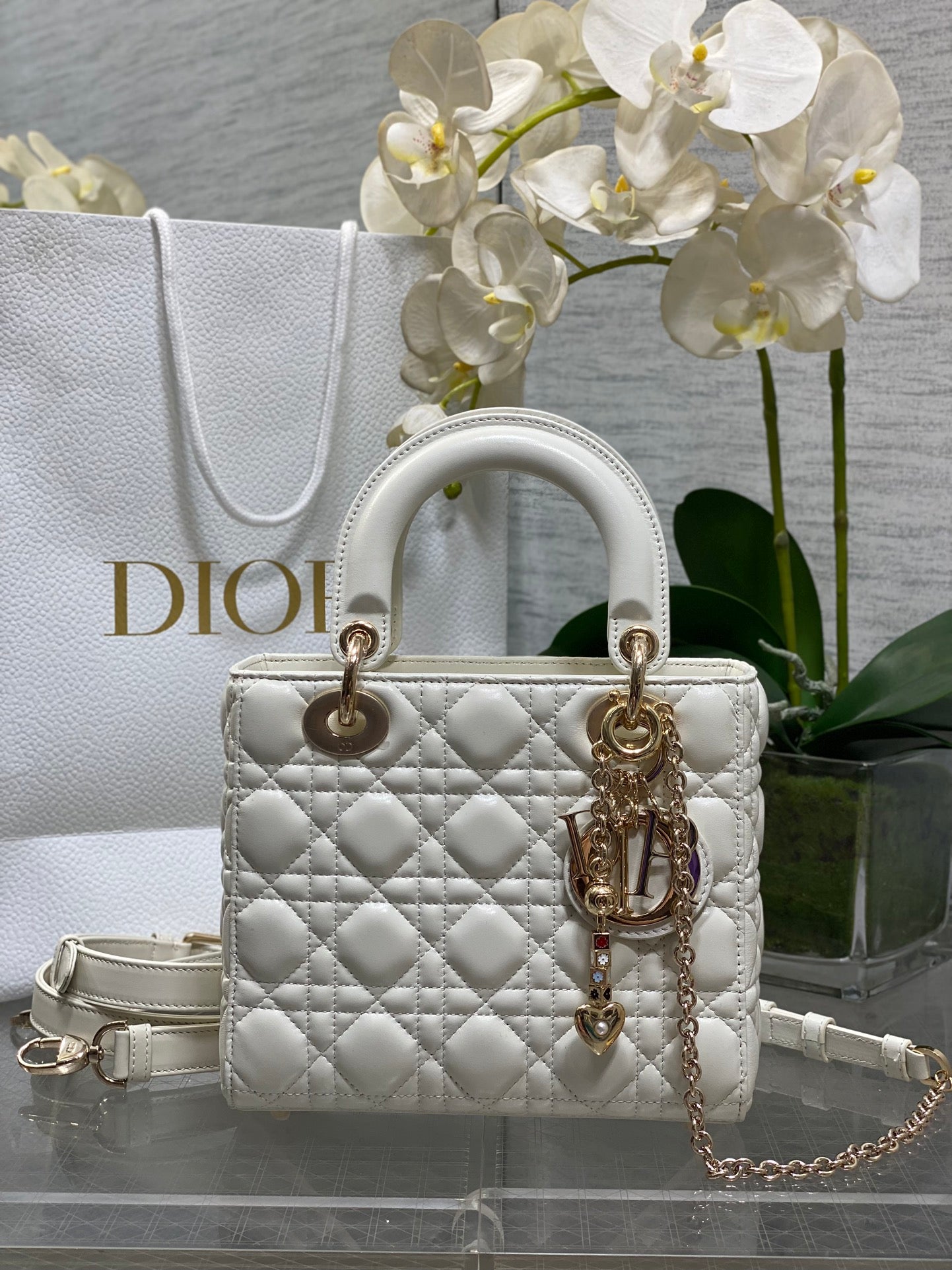 CD new product Daphne bag