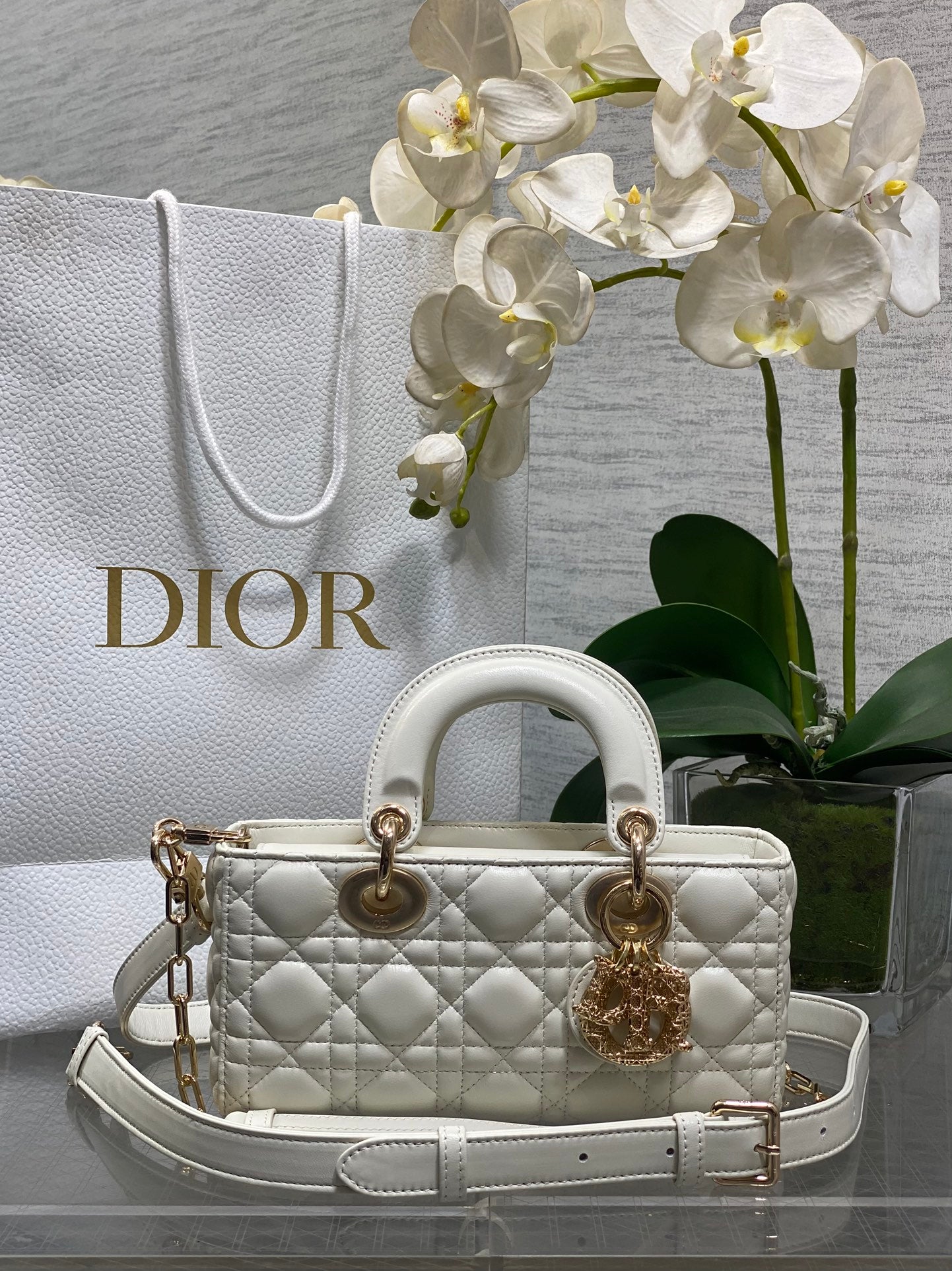 CD new product Daphne bag