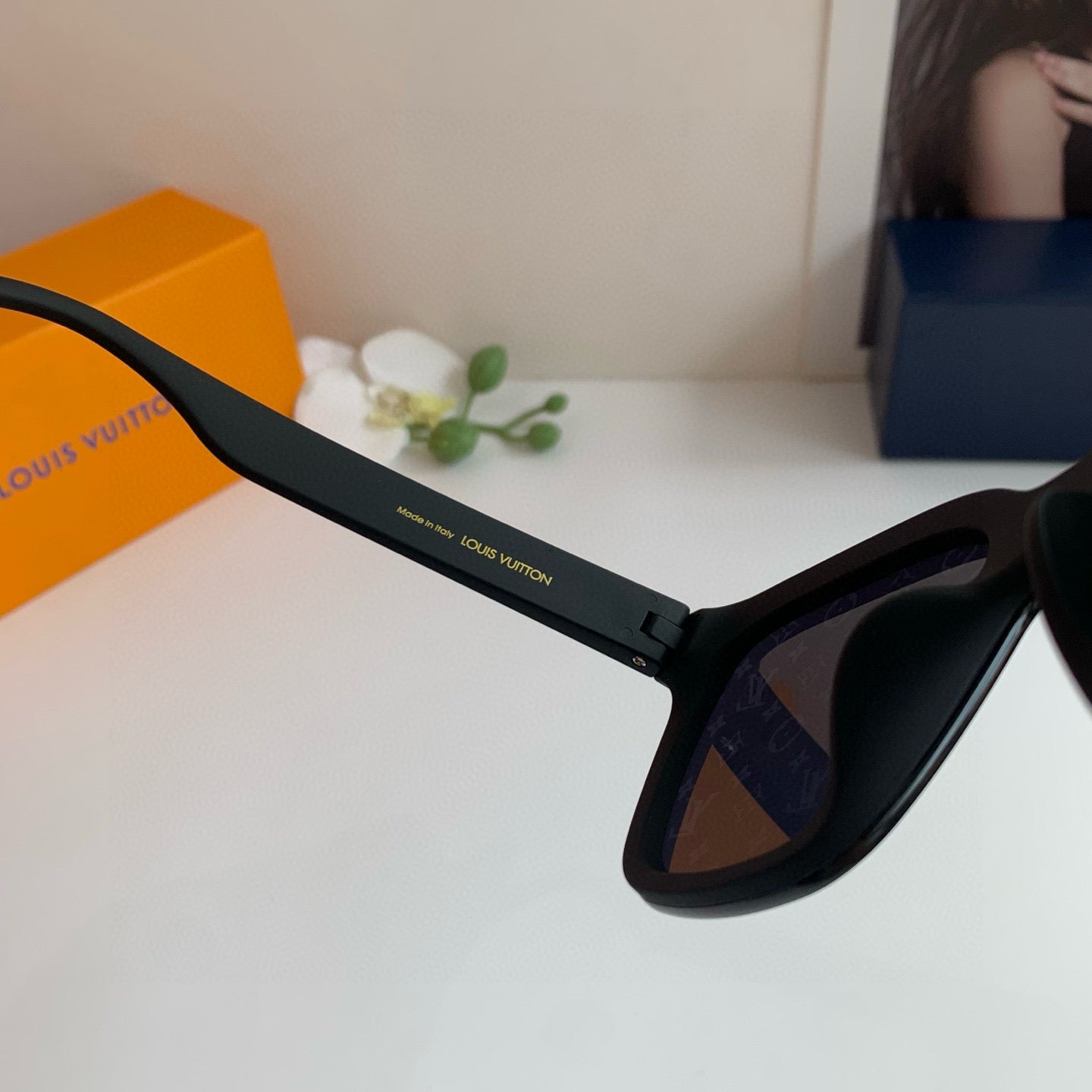 Louis New Sunglasses