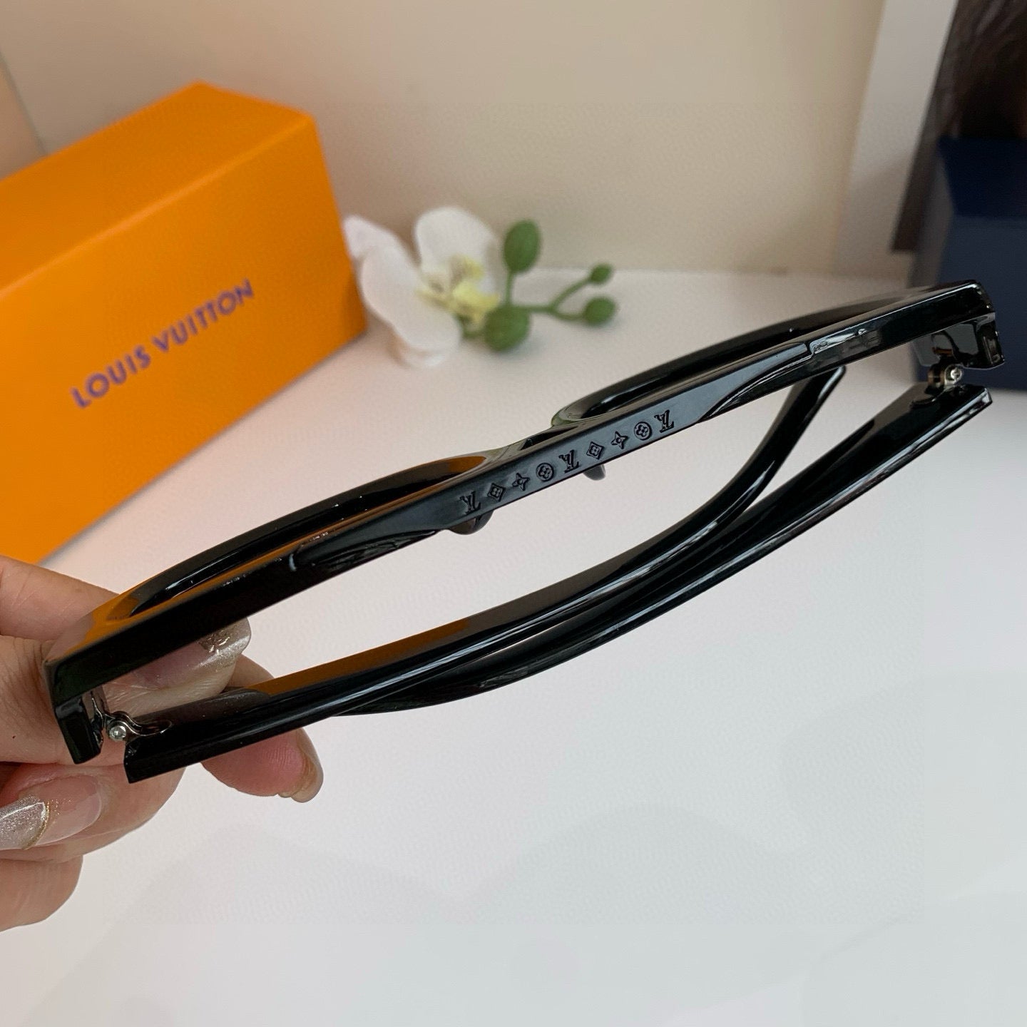 Louis New Sunglasses