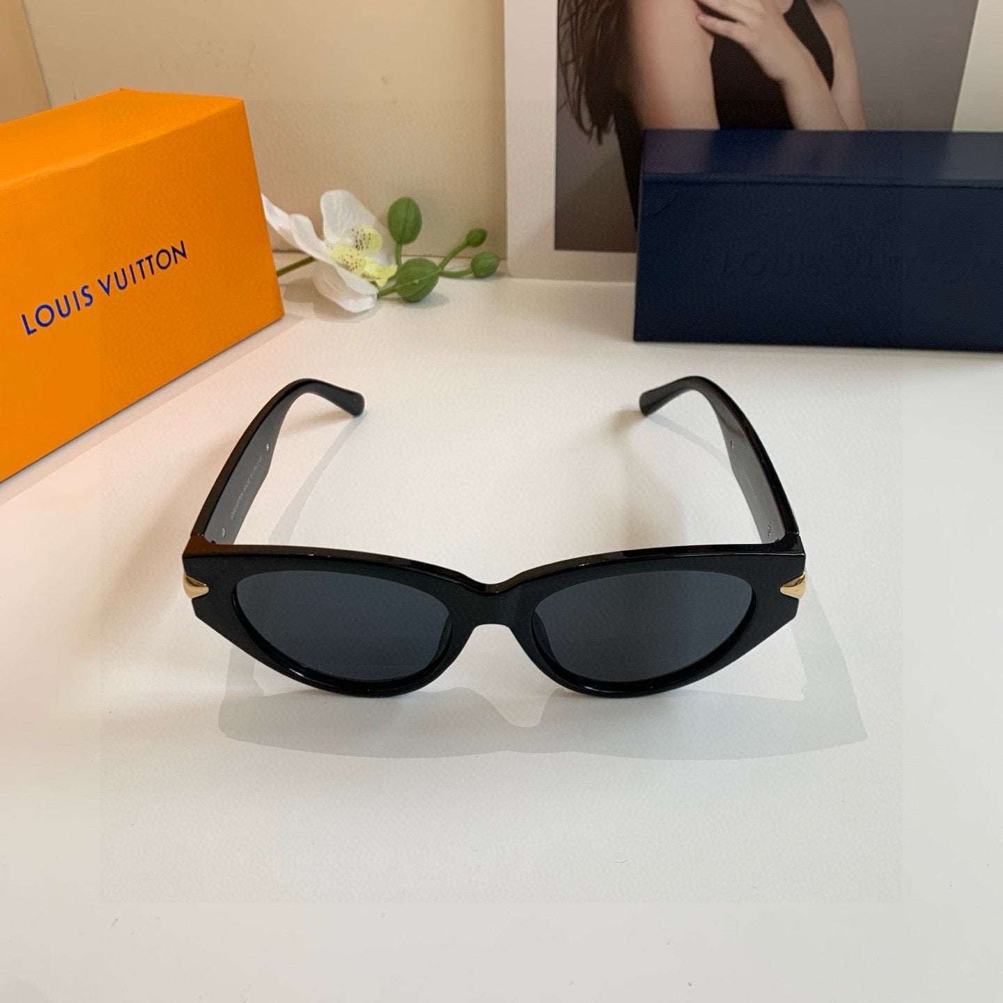 Louis New Sunglasses