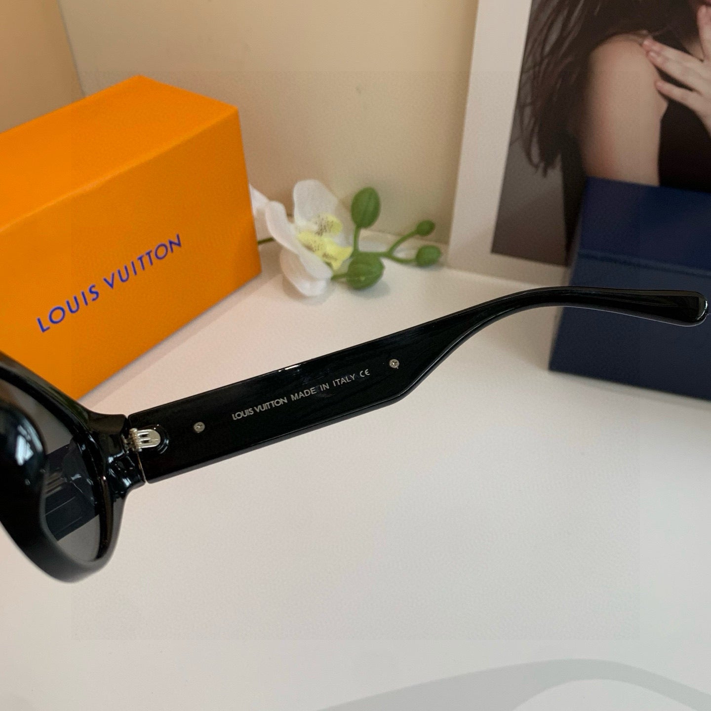 Louis New Sunglasses