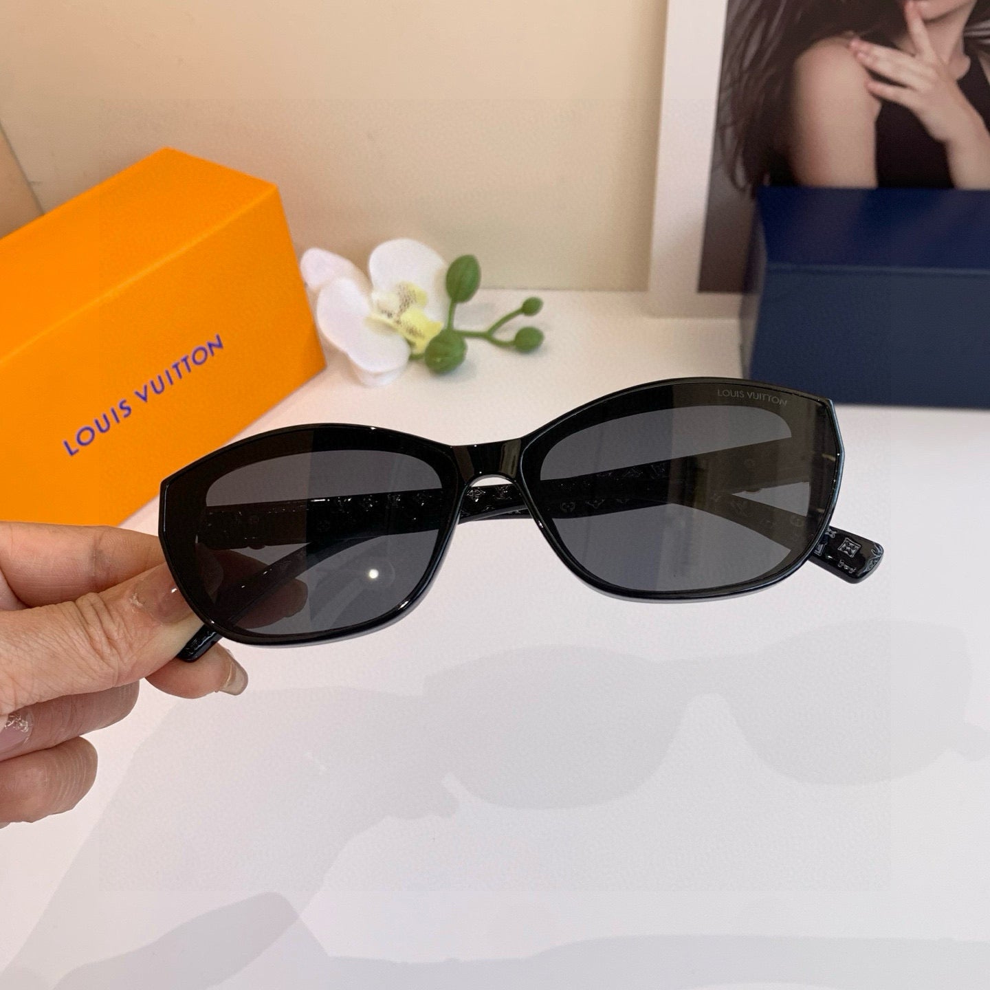 Louis New Sunglasses