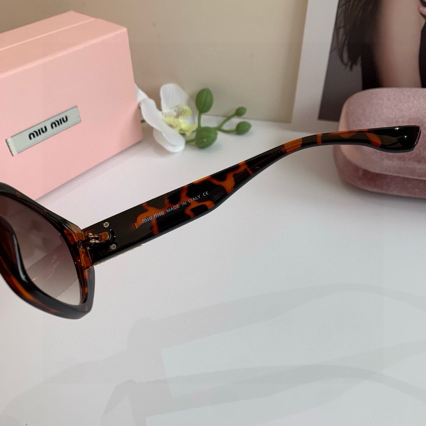 Miu  New Sunglasses