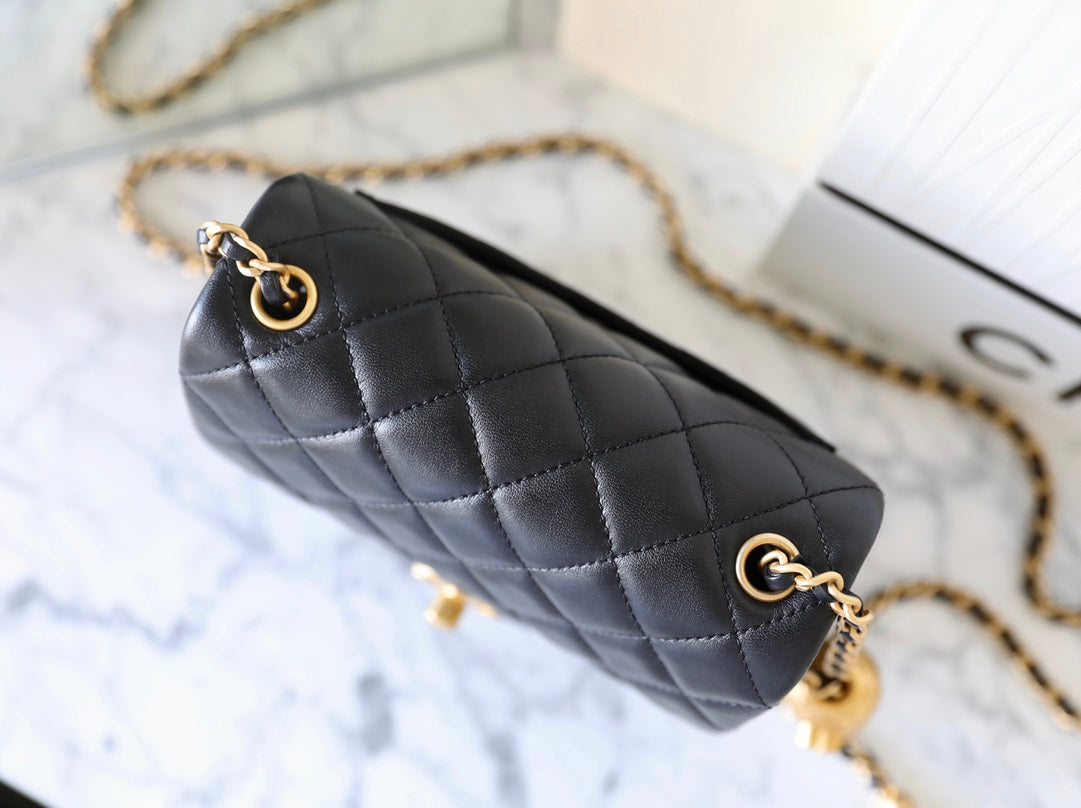 Chan New 23s Golden ball cap cf bag