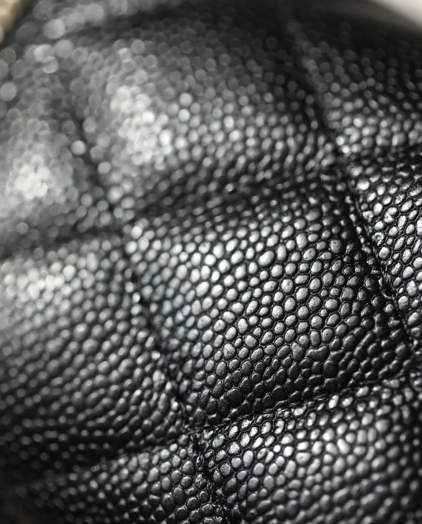 Chan New 23p box bag