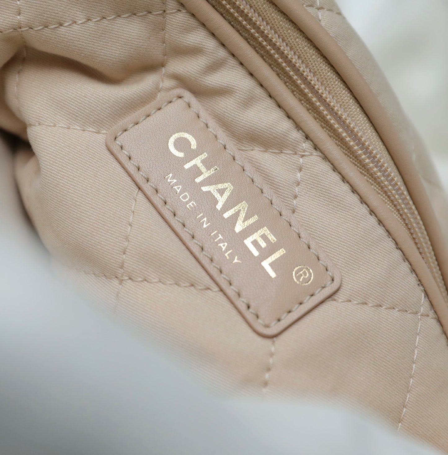 Chan New 22bag medium tote bag