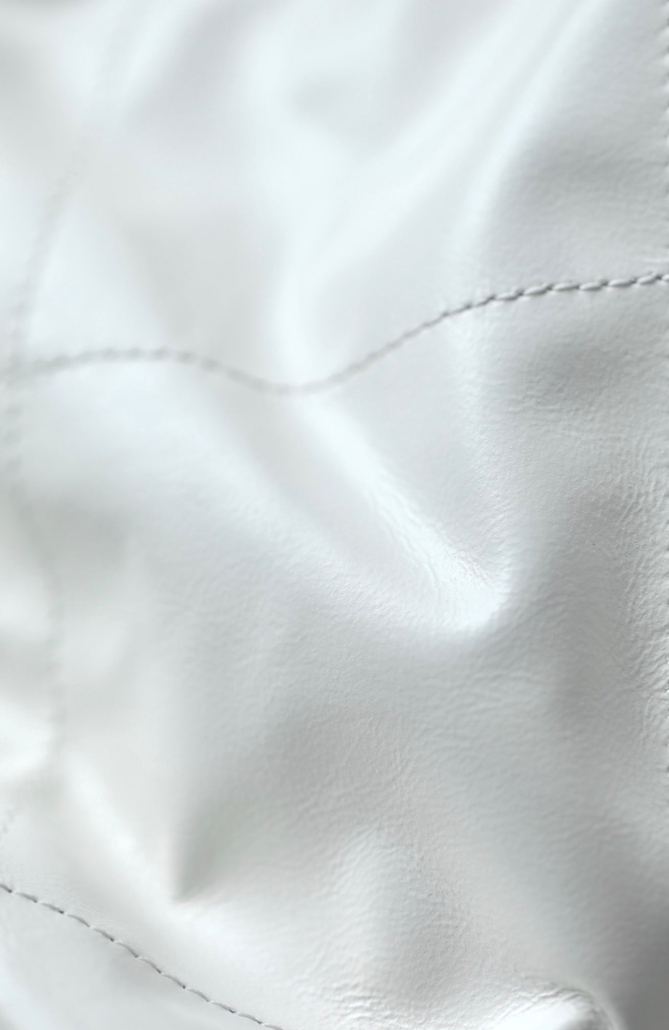 Chan New 22bag tote bag