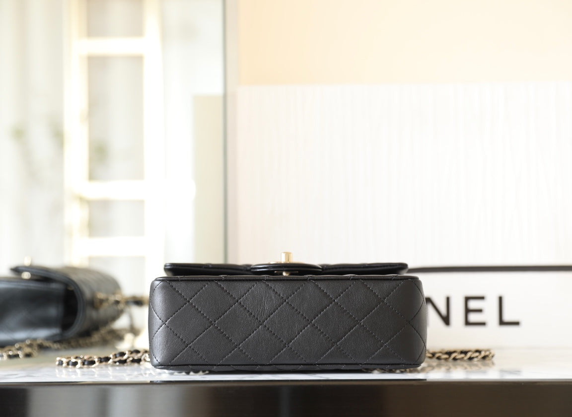 Chan New 23k Double-handle cap bag