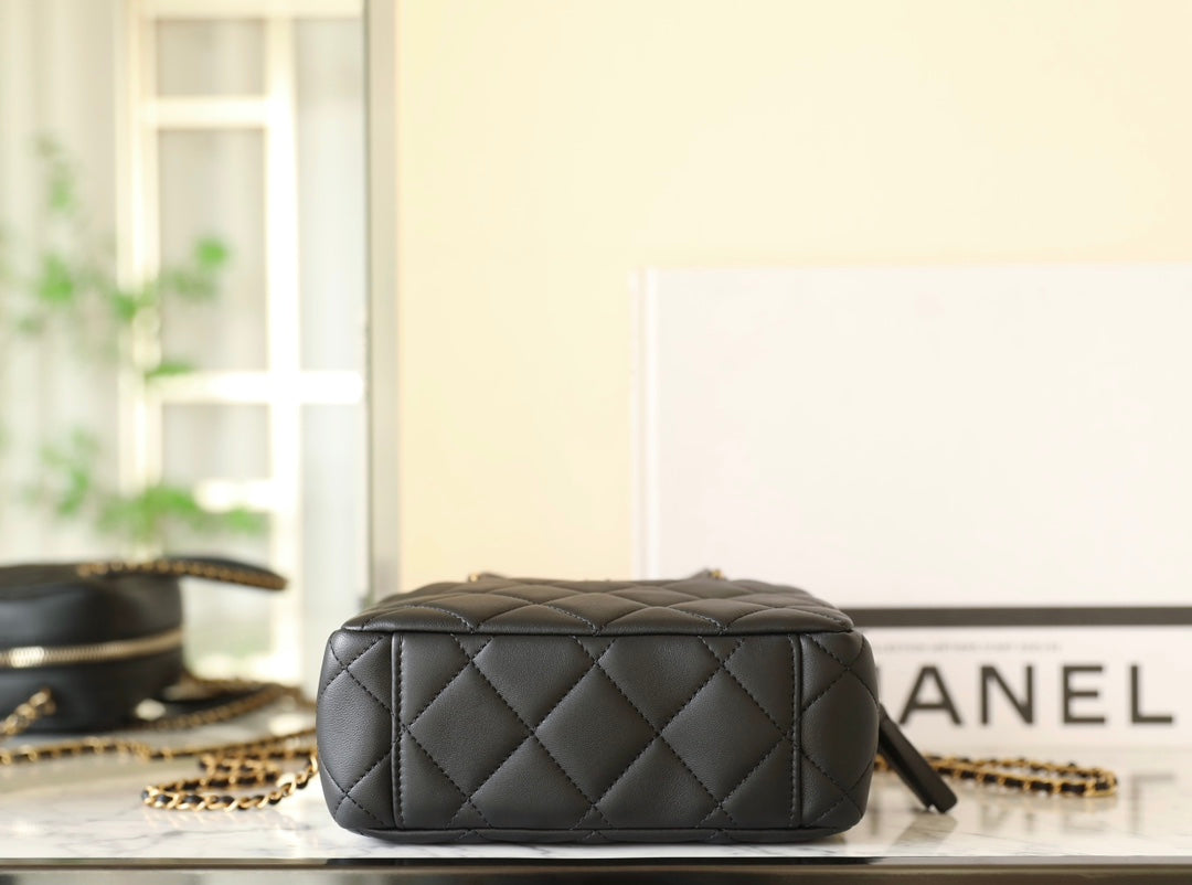 Chan New 25c Handheld camera bag